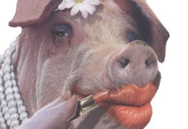 Are you putting lipstick on a pig with your website? 