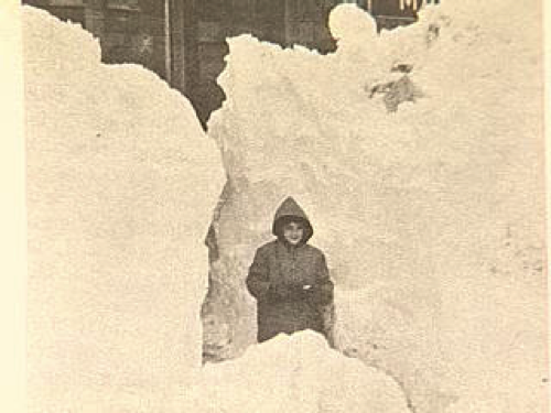 Life's Lessons from Historic Blizzard Nemo