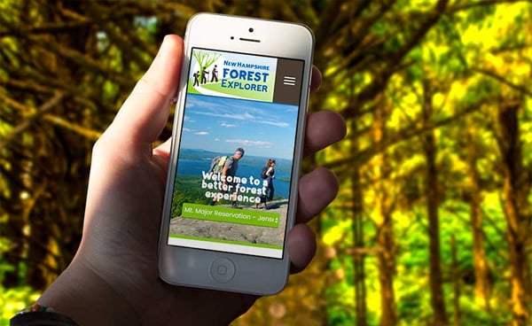 Person holding phone with the Forest Explorer Application open, in a forest. 