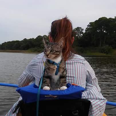 KayakCat